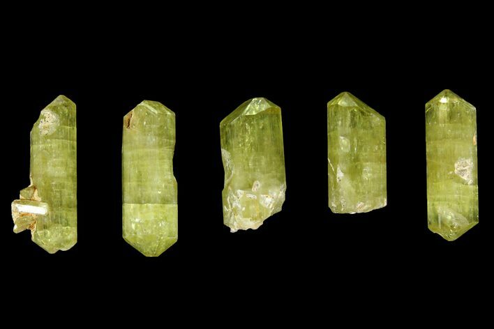 Five Yellow Apatite Crystals (over ) - Morocco #143086